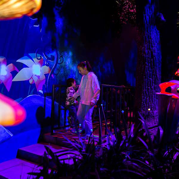 La Schtroumpf Expérience